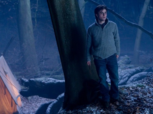 Daniel Radcliffe in Harry Potter and the Deathly Hallows