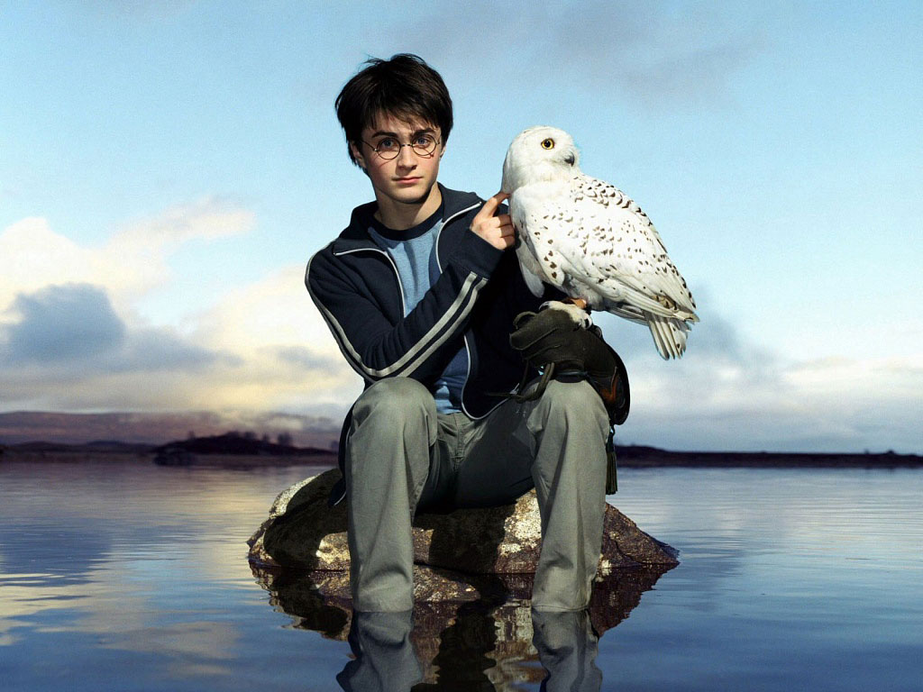 General photo of Daniel Radcliffe