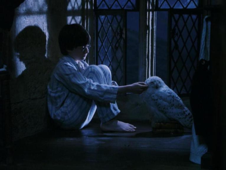 Daniel Radcliffe in Harry Potter and the Sorcerer's Stone