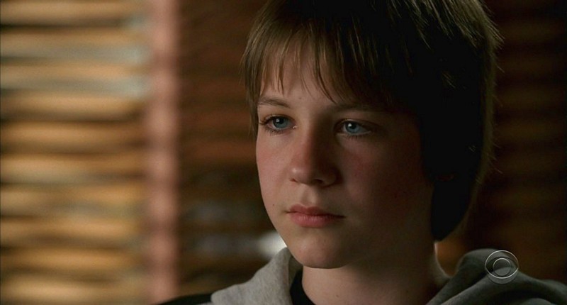 Darian Weiss in Without a Trace, episode: Stolen