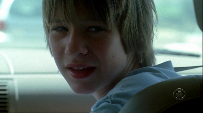 Darian Weiss in Numb3rs, episode: Traffic