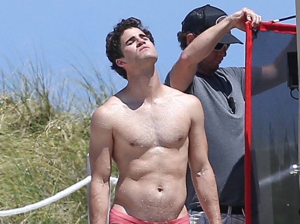 General photo of Darren Criss