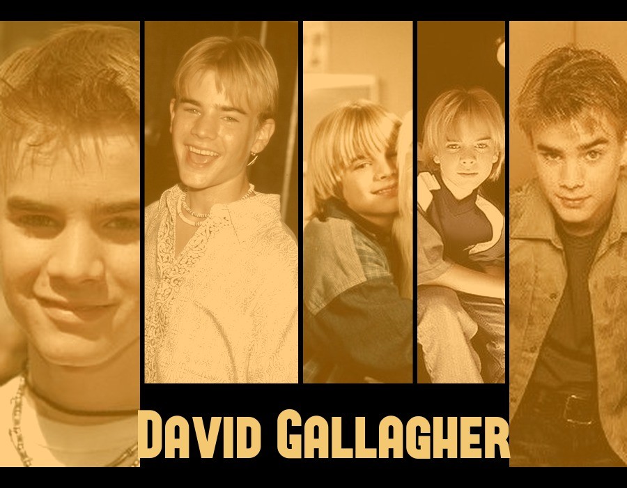 David Gallagher in Fan Creations