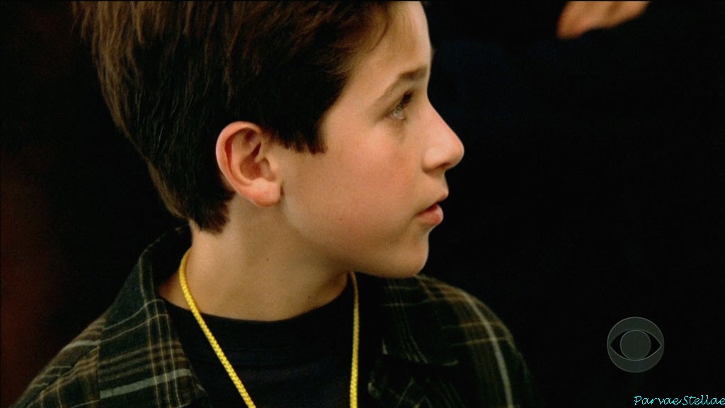 David Henrie in Without a Trace, episode: Birthday Boy