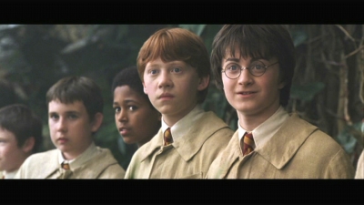 Devon Murray in Harry Potter and the Chamber of Secrets