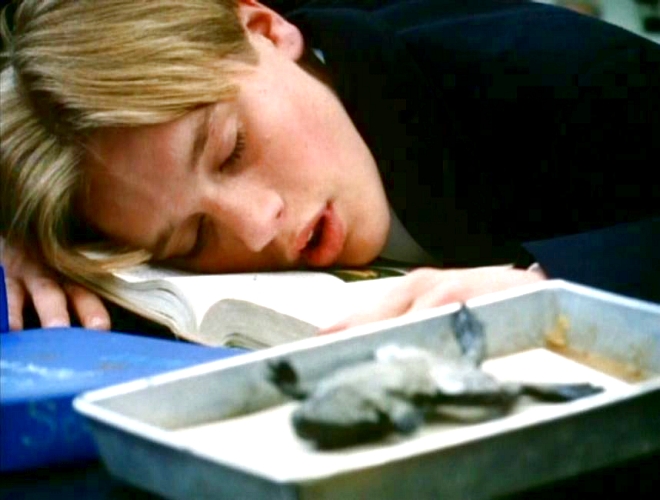 Devon Sawa in Robin of Locksley