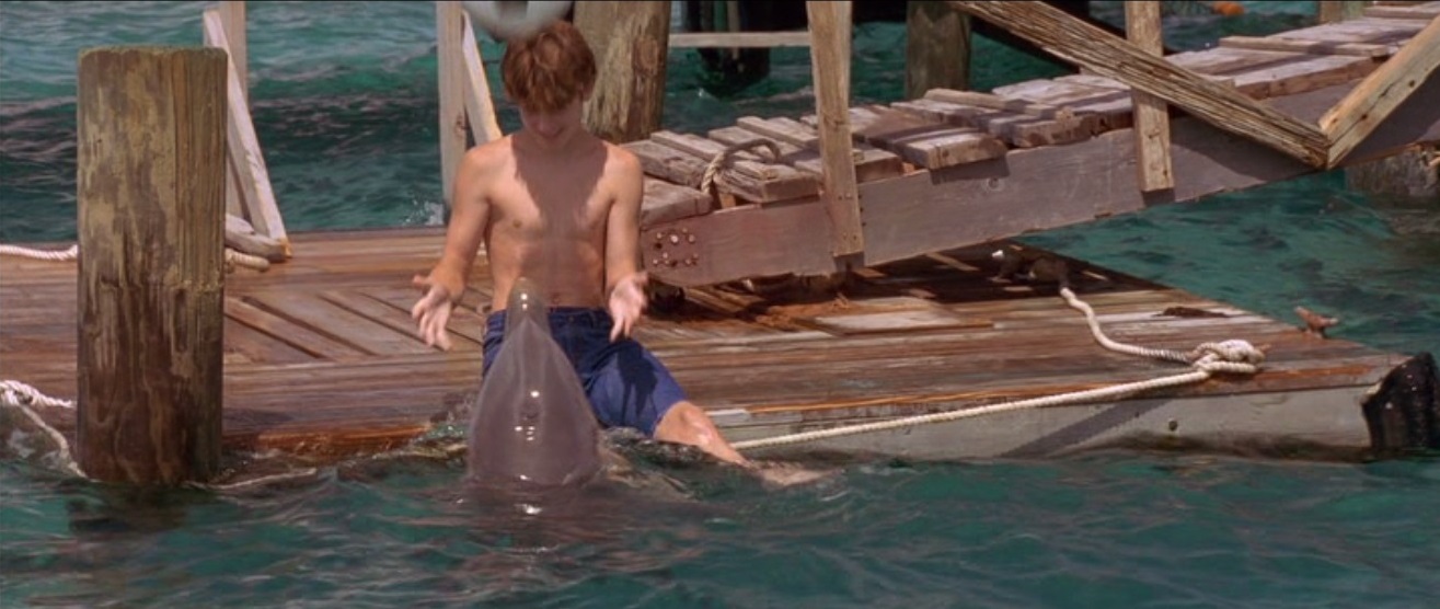 Elijah Wood in Flipper