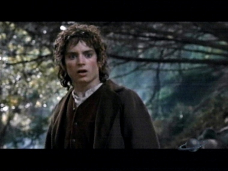 Elijah Wood in The Lord of the Rings: The Fellowship of the Ring