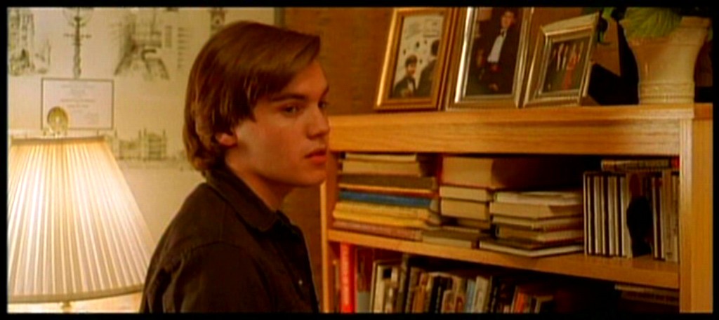 Emile Hirsch in Imaginary Heroes