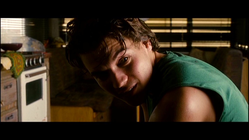 Emile Hirsch in Into the Wild