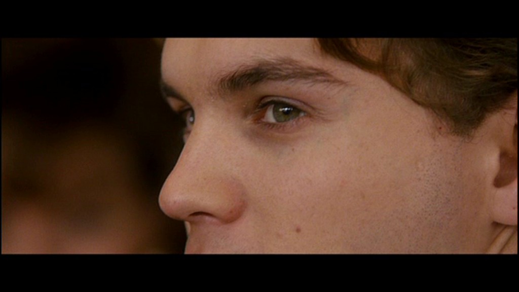 Emile Hirsch in Into the Wild