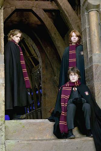 Emma Watson in Harry Potter and the Goblet of Fire