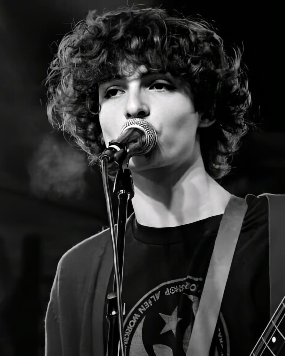 General photo of Finn Wolfhard