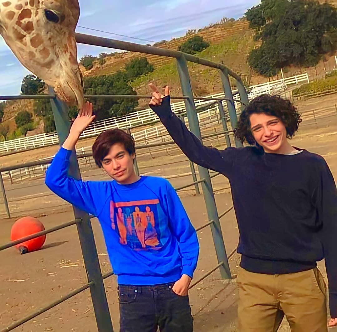 General photo of Finn Wolfhard