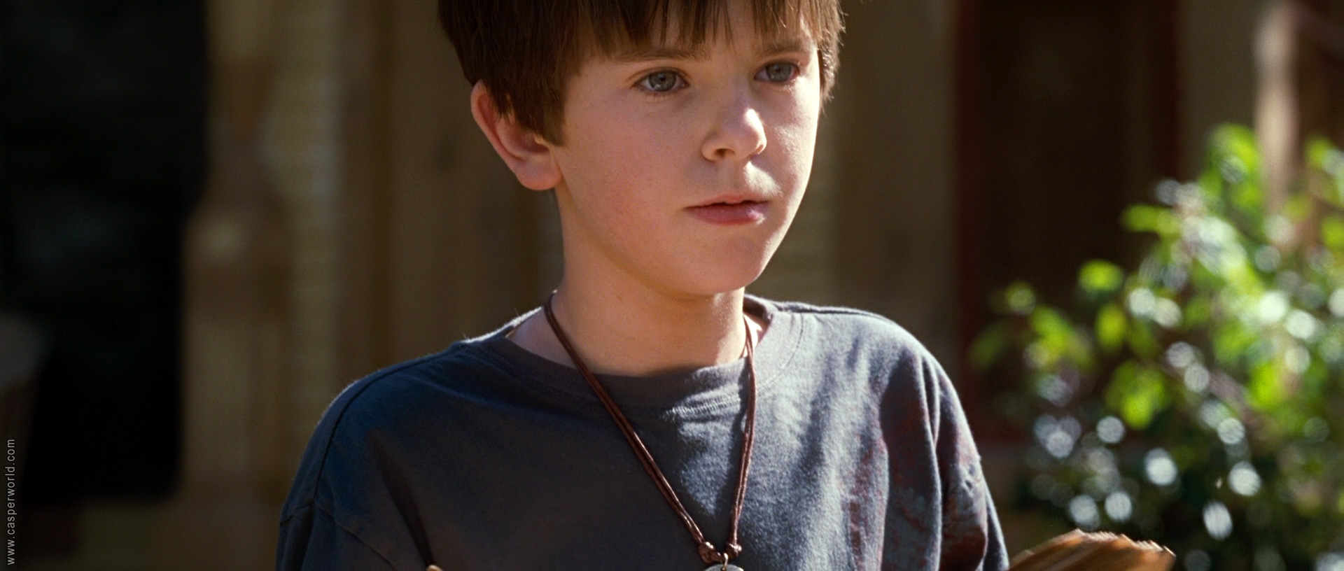 Freddie Highmore in The Spiderwick Chronicles