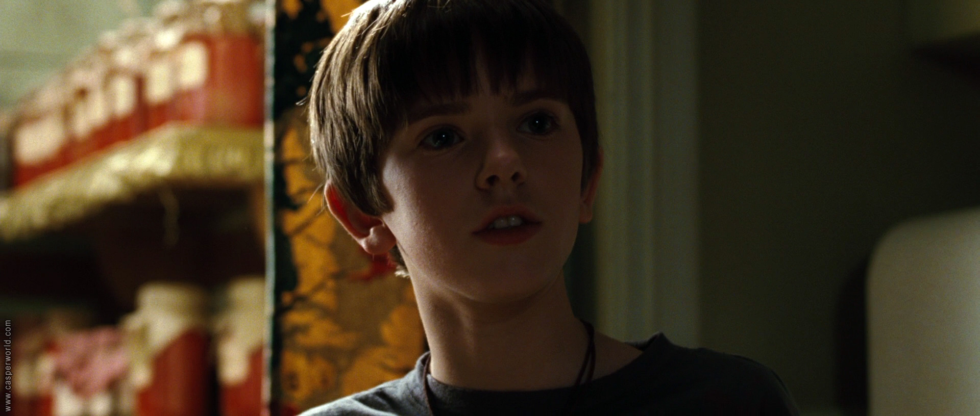 Freddie Highmore in The Spiderwick Chronicles