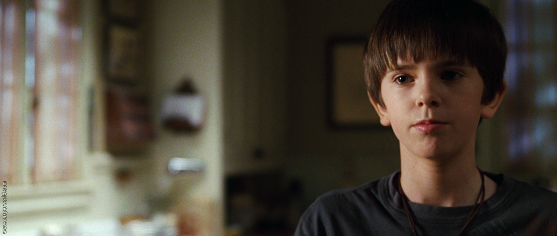 Freddie Highmore in The Spiderwick Chronicles