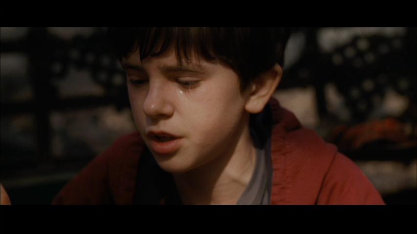 Freddie Highmore in The Spiderwick Chronicles