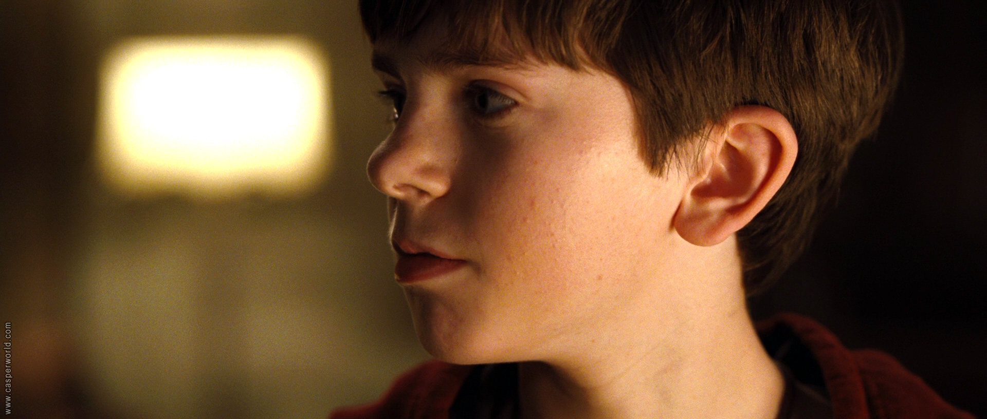 Freddie Highmore in The Spiderwick Chronicles