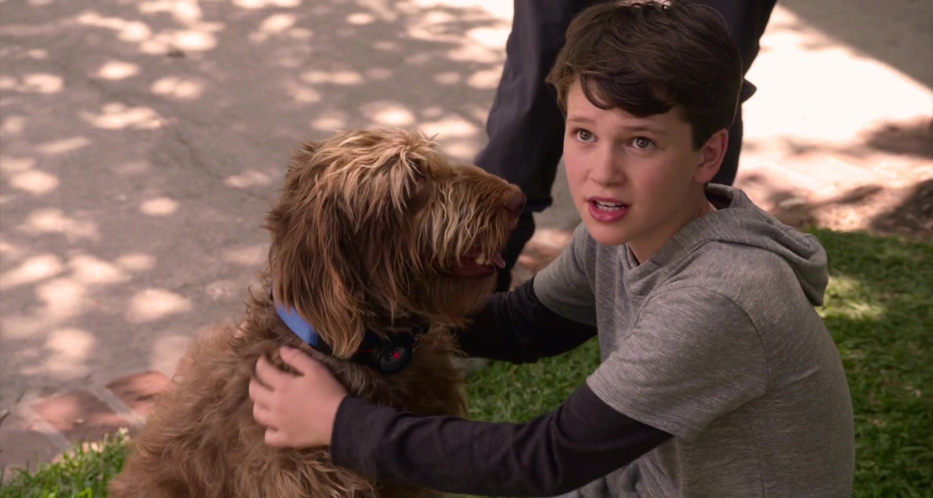 Gabriel Bateman in Think Like a Dog