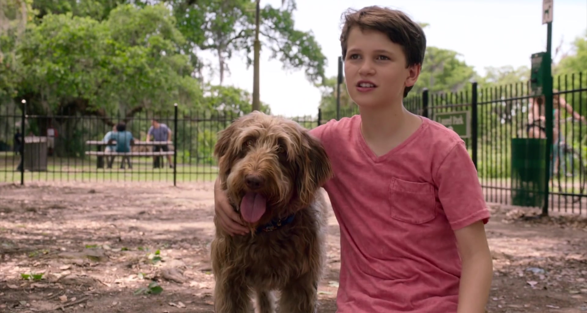 Gabriel Bateman in Think Like a Dog