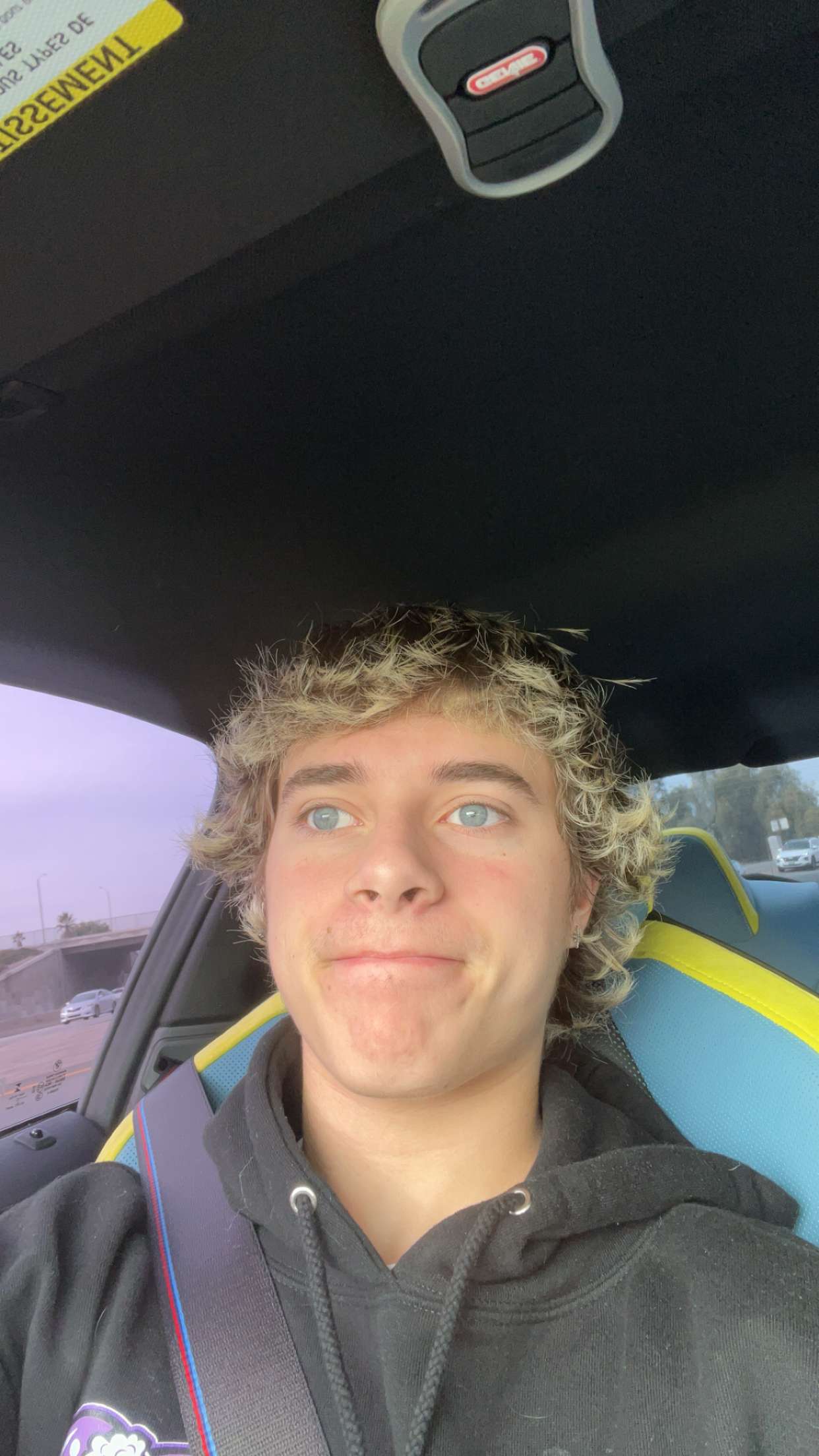 Picture of Gavin Magnus in General Pictures gavinmagnus1705771519