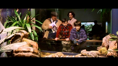 Harry Melling  in Harry Potter and the Sorcerer's Stone