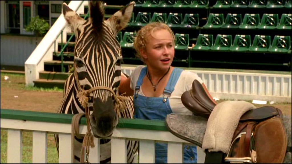 Hayden Panettiere in Racing Stripes