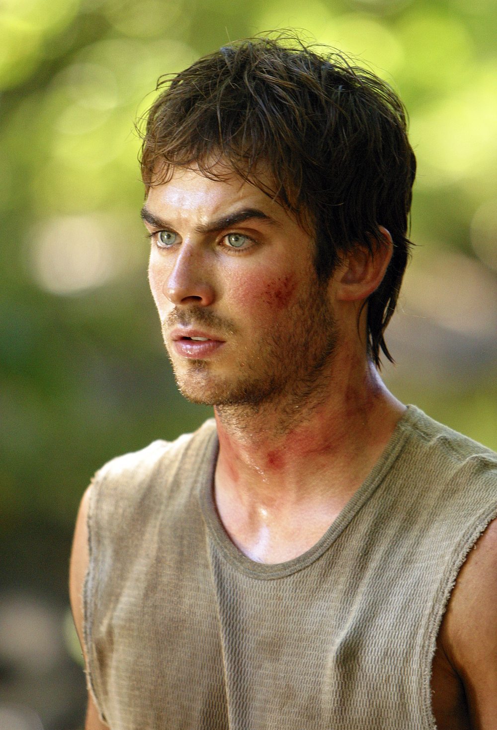 Ian Somerhalder in Lost