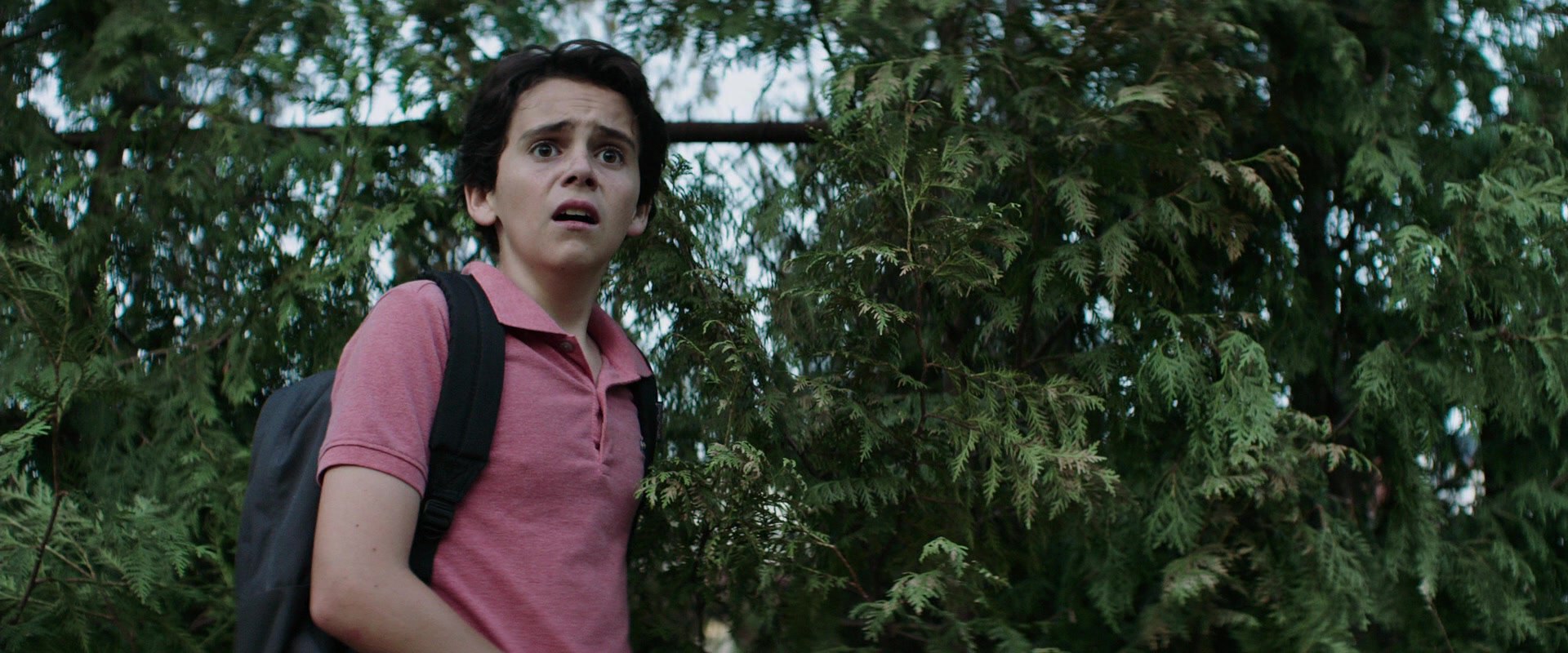 Jack Dylan Grazer in It