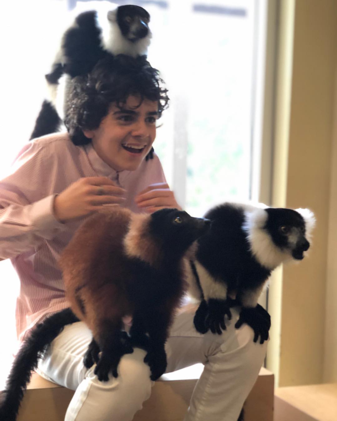 General photo of Jack Dylan Grazer