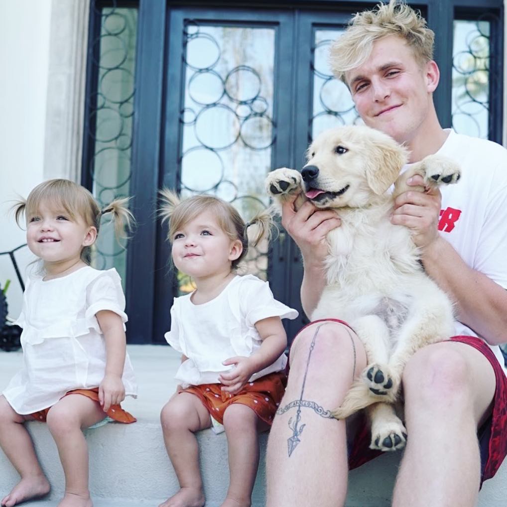 General photo of Jake Paul