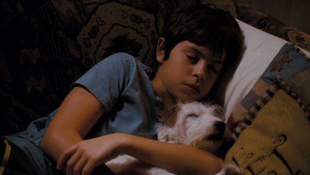 Jake T. Austin in Hotel for Dogs