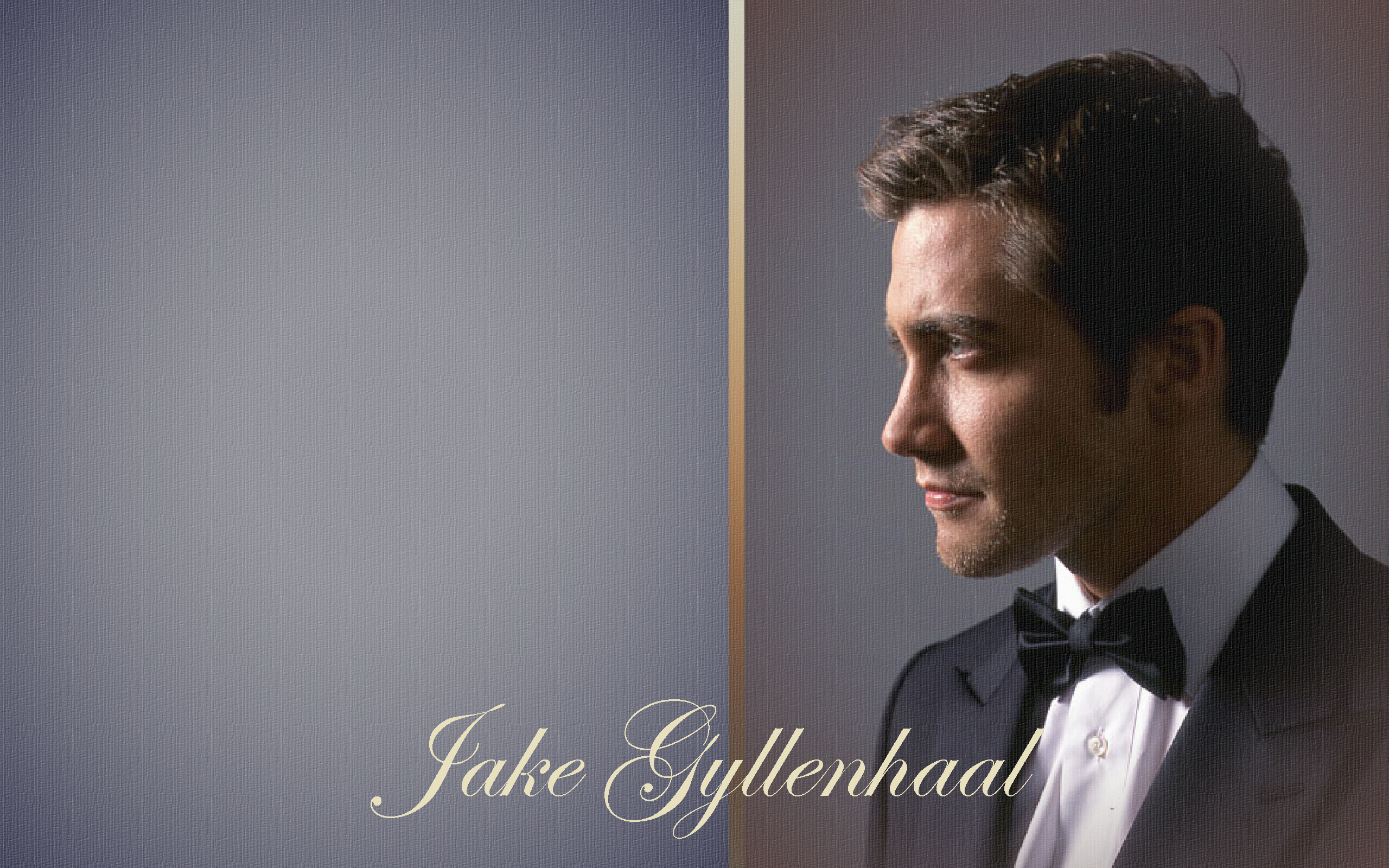 Jake Gyllenhaal in Fan Creations