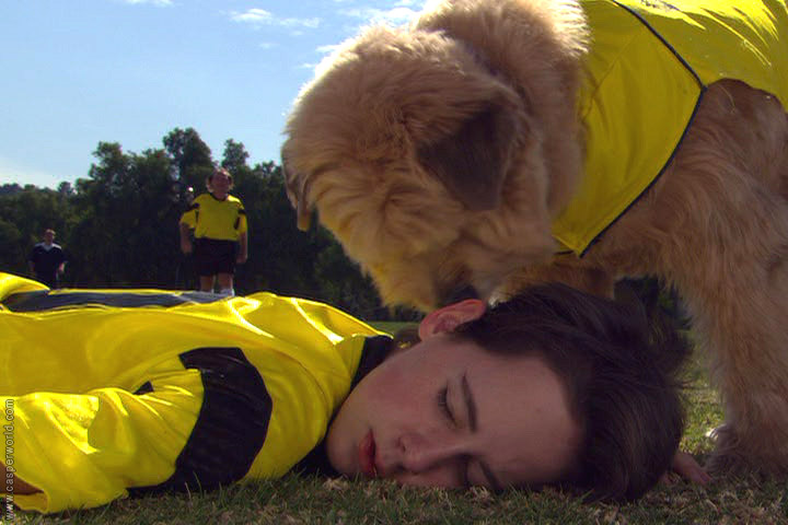 Jake Thomas in Soccer Dog: European Cup