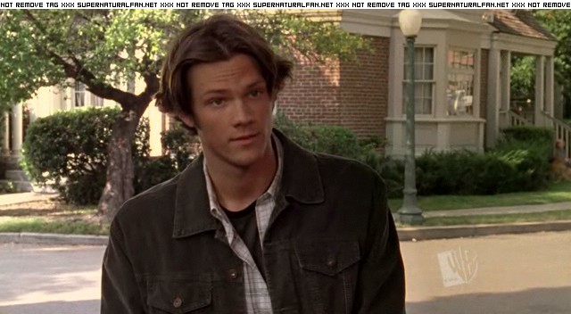 Jared Padalecki in Gilmore Girls, episode: To Live and Let Diorama