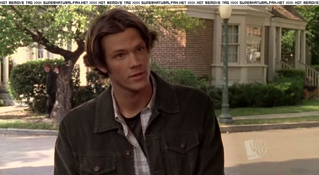 Jared Padalecki in Gilmore Girls, episode: To Live and Let Diorama