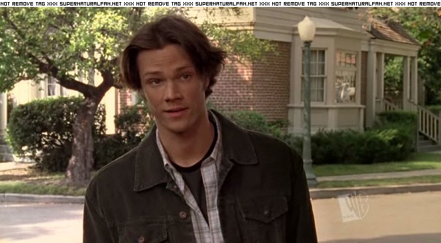 Jared Padalecki in Gilmore Girls, episode: To Live and Let Diorama