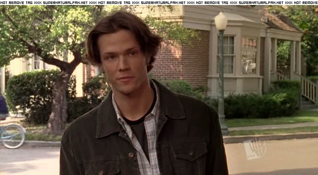 Jared Padalecki in Gilmore Girls, episode: To Live and Let Diorama