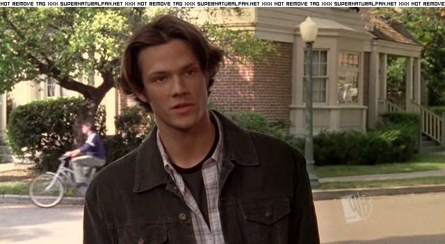 Jared Padalecki in Gilmore Girls, episode: To Live and Let Diorama