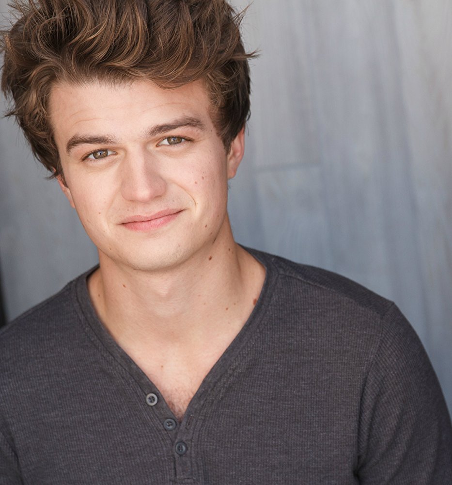 General photo of Joe Keery