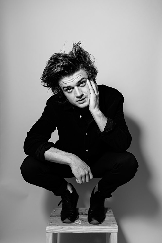 General photo of Joe Keery