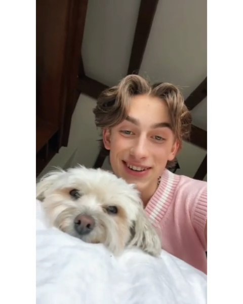 General photo of Johnny Orlando