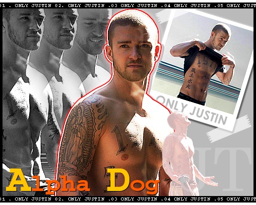 Justin Timberlake in Alpha Dog
