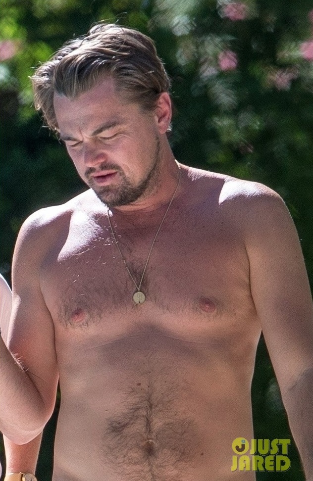 General photo of Leonardo DiCaprio