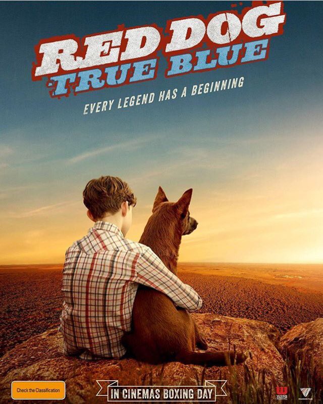 Levi Miller in Red Dog: True Blue