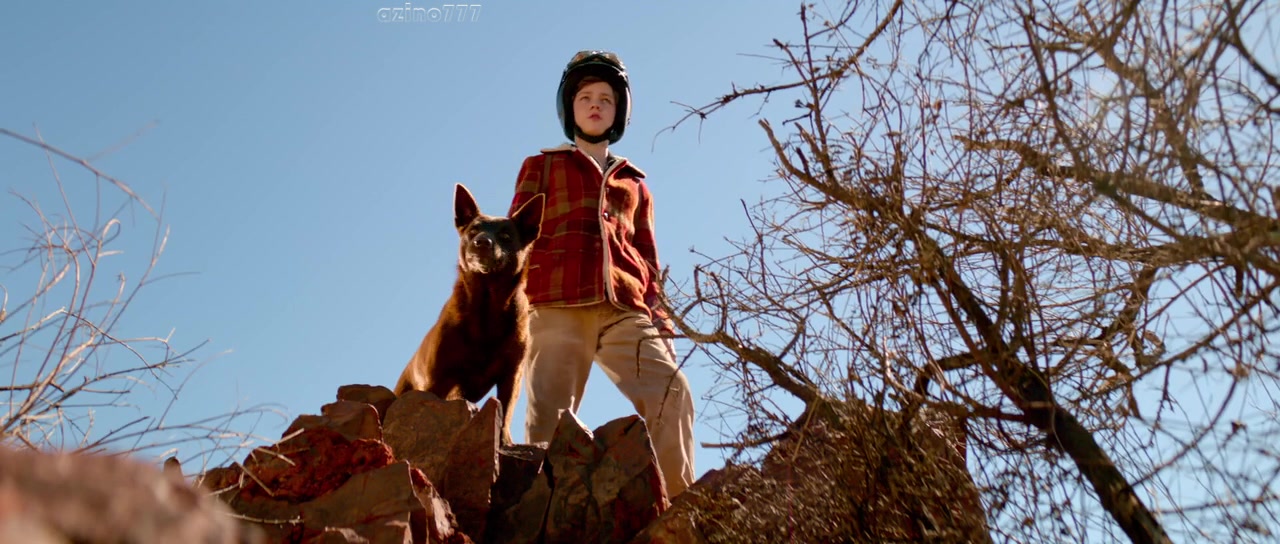 Levi Miller in Red Dog: True Blue