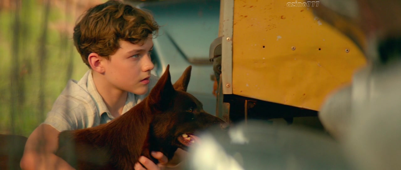 Levi Miller in Red Dog: True Blue