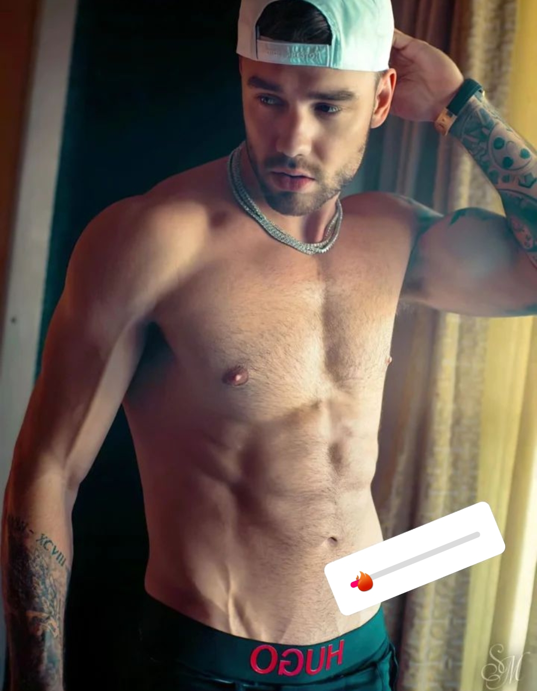 General photo of Liam Payne