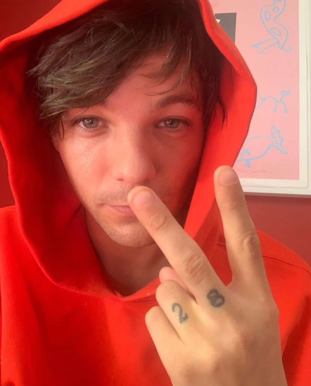 General photo of Louis Tomlinson